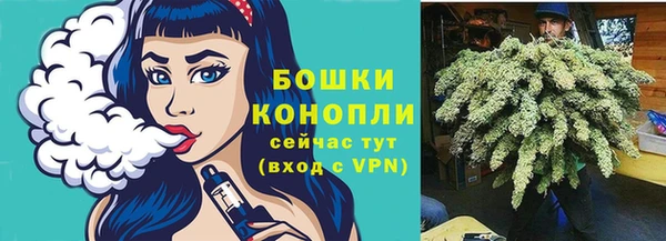 спайс Касимов