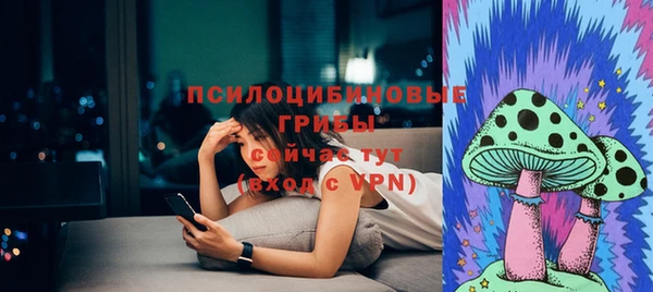 таблы Карпинск