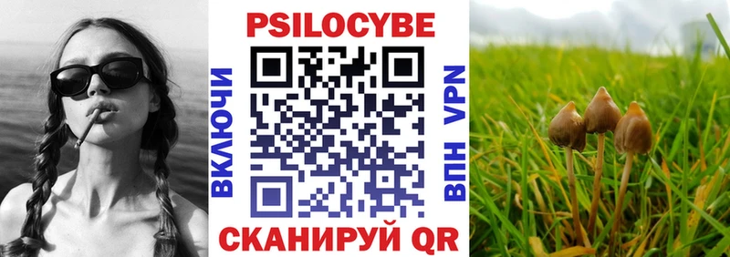 Галлюциногенные грибы Magic Shrooms  где продают   Куйбышев 